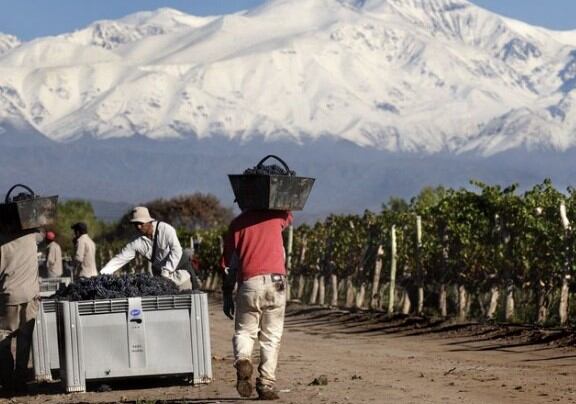 Para los productores de más de 10 hectáreas, el costo será de será de $1.500 por hectárea.