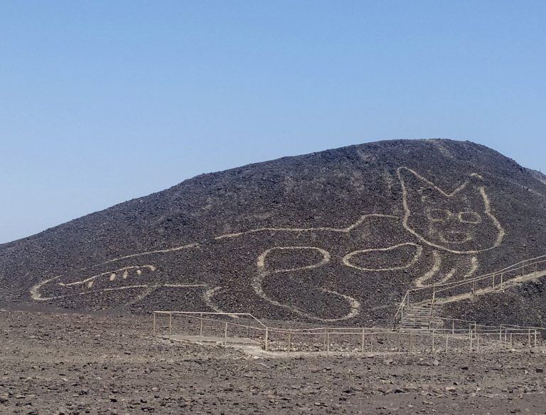 Un gato de 37 metros se suma a los enormes geoglifos de Nazca (Foto: EFE)