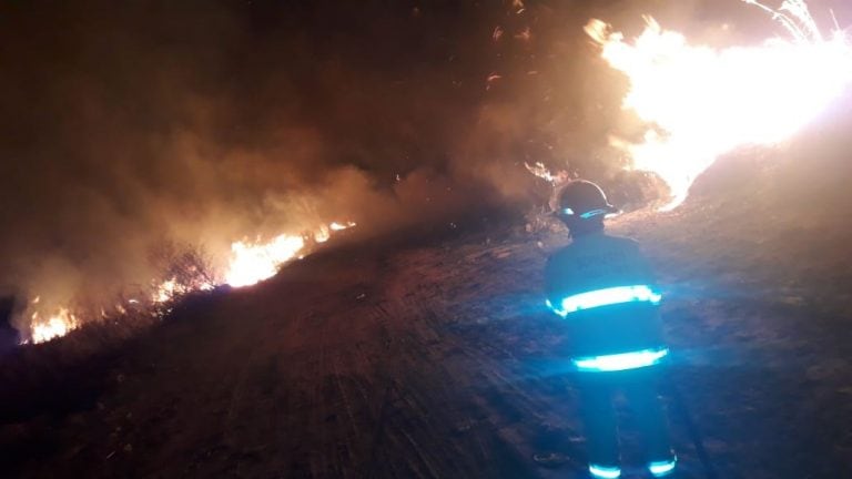 Incendio ruta 12
Crédito: Bomberos Ceibas