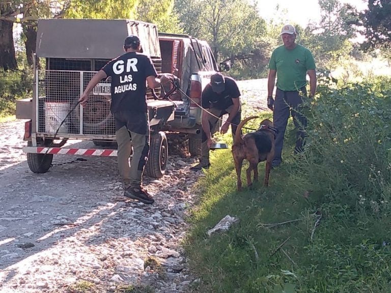 Brigada de Canes en el lugar cercano al domicilio.