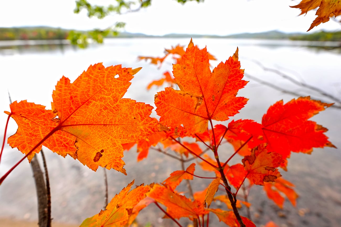 Si bien el 21 de marzo se celebra la primavera en el hemisferio norte, en el sur llega el otoño.