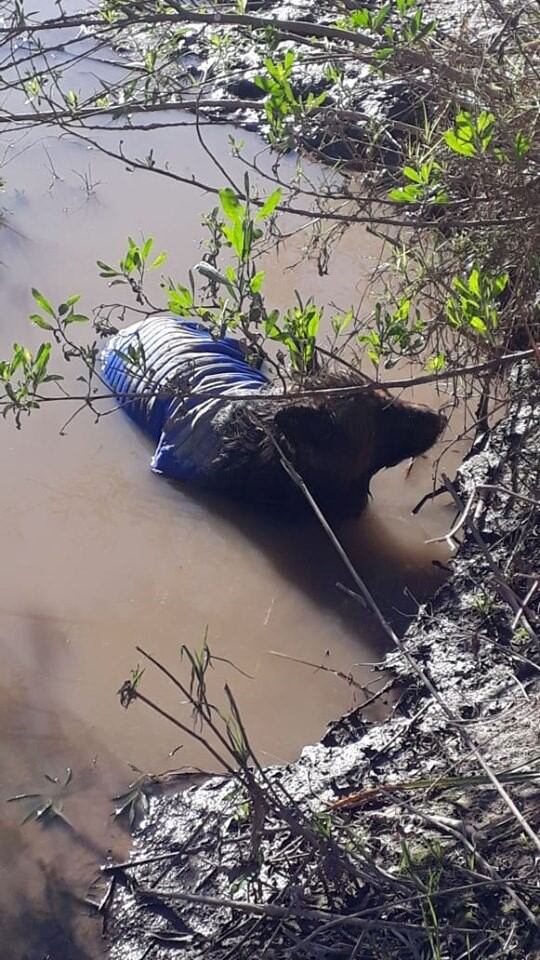 Rescate Bomberos Arroyito