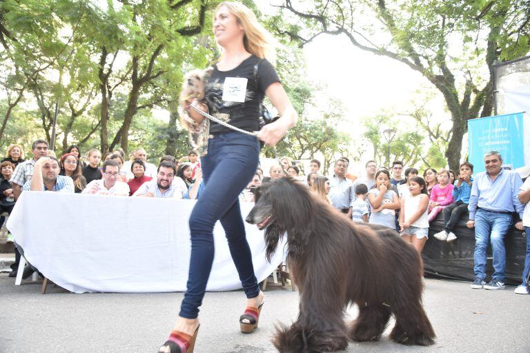 Foto: Municipalidad de San Miguel de Tucumán.