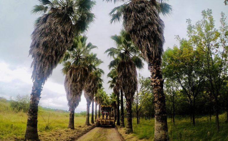 Iniciaron las obras en el Bosque de los Constituyentes