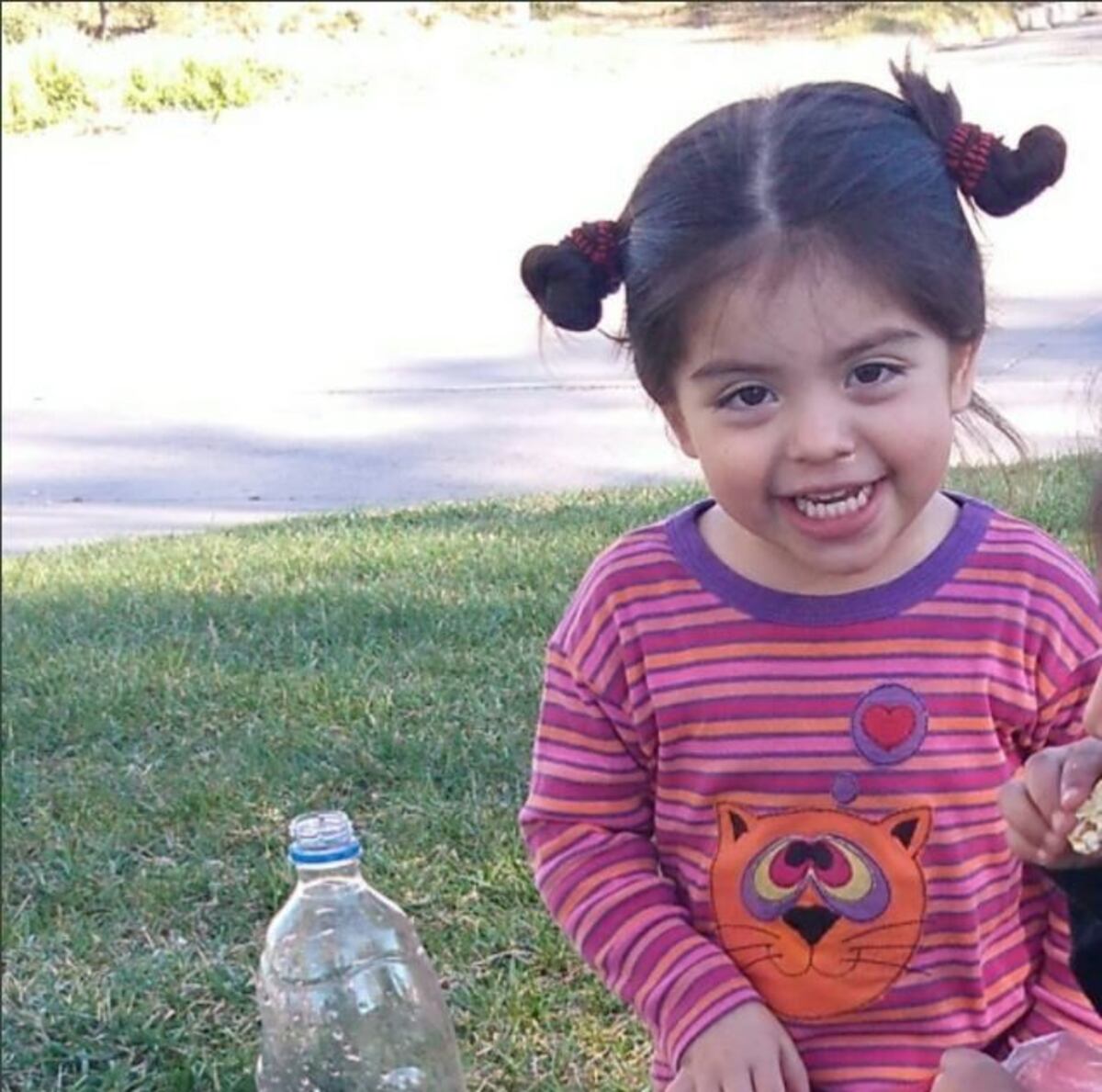 El papá de Delfina dijo que "la hipótesis más firme es que cayó en un desagüe"