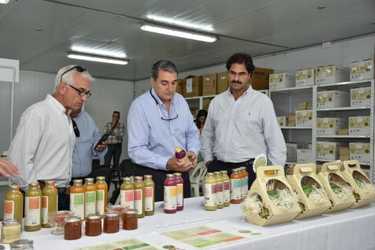 Las sopas embotelladas de Green Seed.