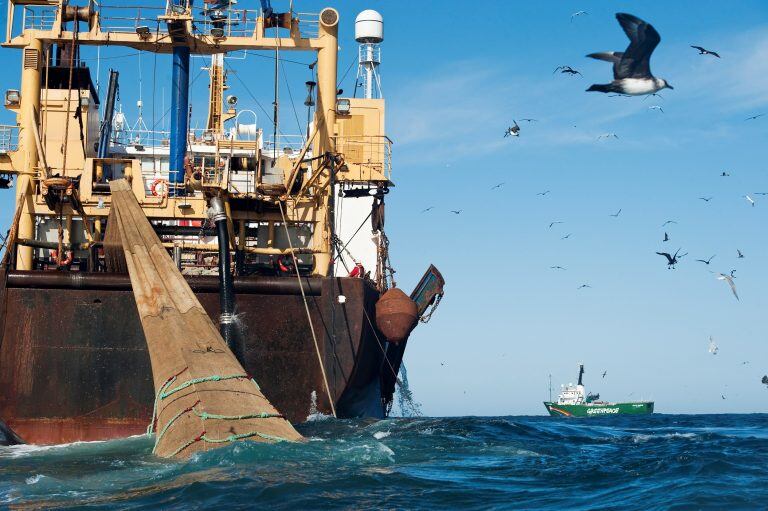 Sobrepesca y exploración sísmica en el Mar Argentino.