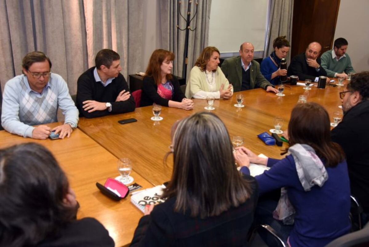 Fein habló de "emergencia social" y aseguró que se trabajará para "mitigar los efectos del ajuste"