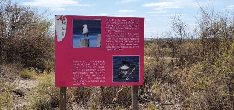 Carteles rotos de Villa del Mar