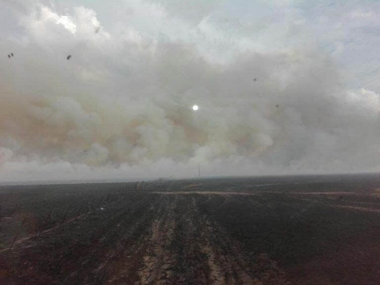 Bomberos Voluntarios de Punta Alta