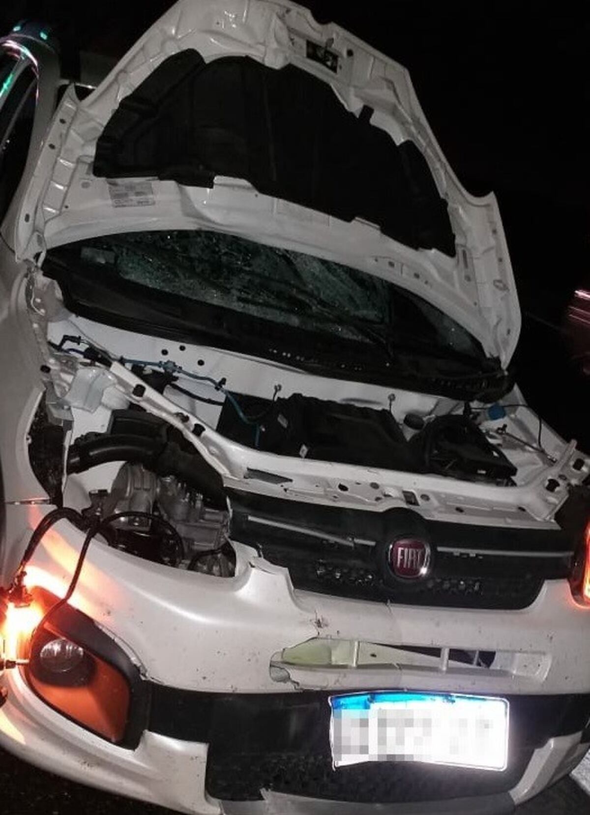 Cruzaba la autopista, fue embestido por un auto y murió