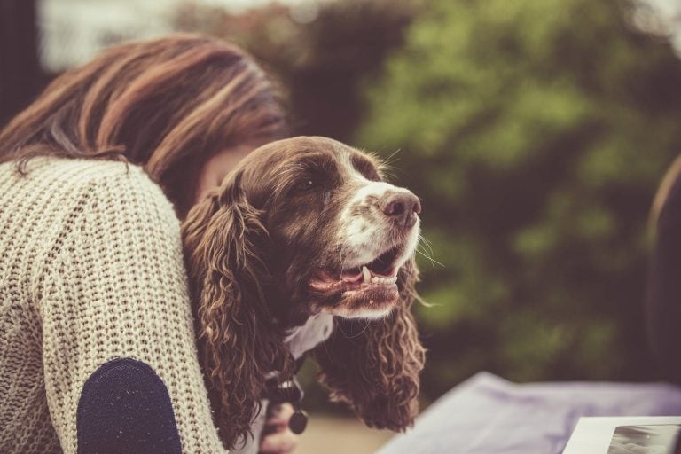 Un estudio reveló que la muerte de un perro duele tanto como la de un familiar