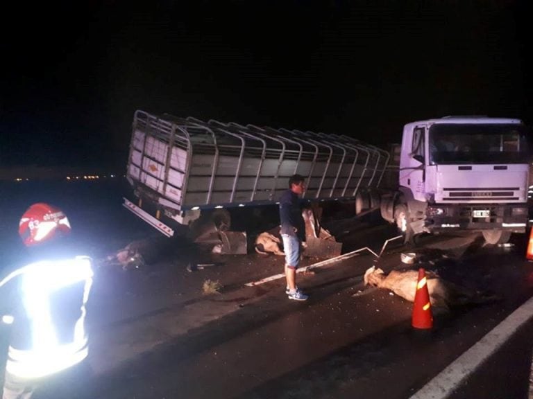 El vuelco de una camión con ganado en la autopista Rosario-Córdoba obligó a cortar la mano a Rosario a la altura de Armstrong. (Cable Imagen Armstrong)