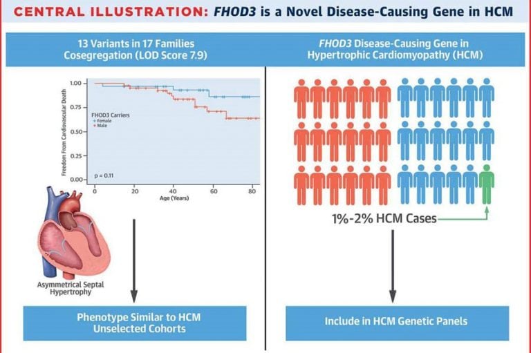 Ilustración de la publicación en el Journal of the American College of Cardiology (JACC)