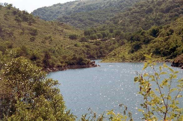 Arroyo Los Hornillos