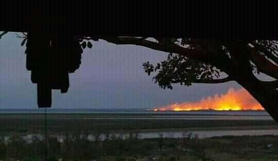 Volvieron los incendios en las islas y envían más brigadistas