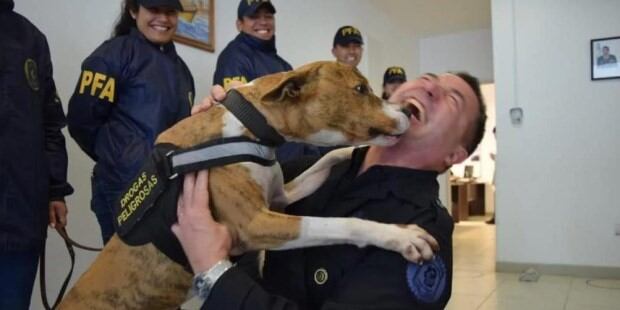 El comisario general Néstor Roncaglia y el perro Chizzo (Foto: captura video)