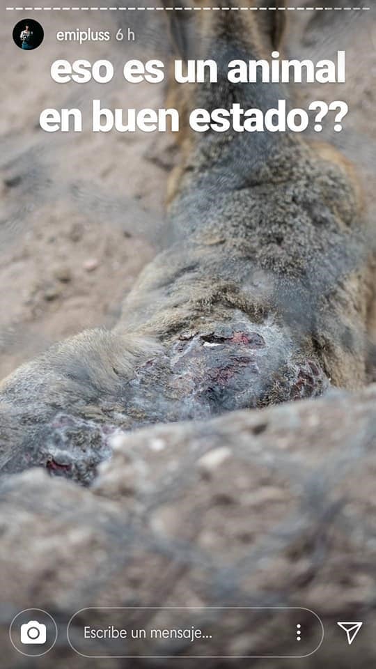 Candelaria Tinelli se sumó al pedido de un cordobés por el cierre del Zoo Córdoba.