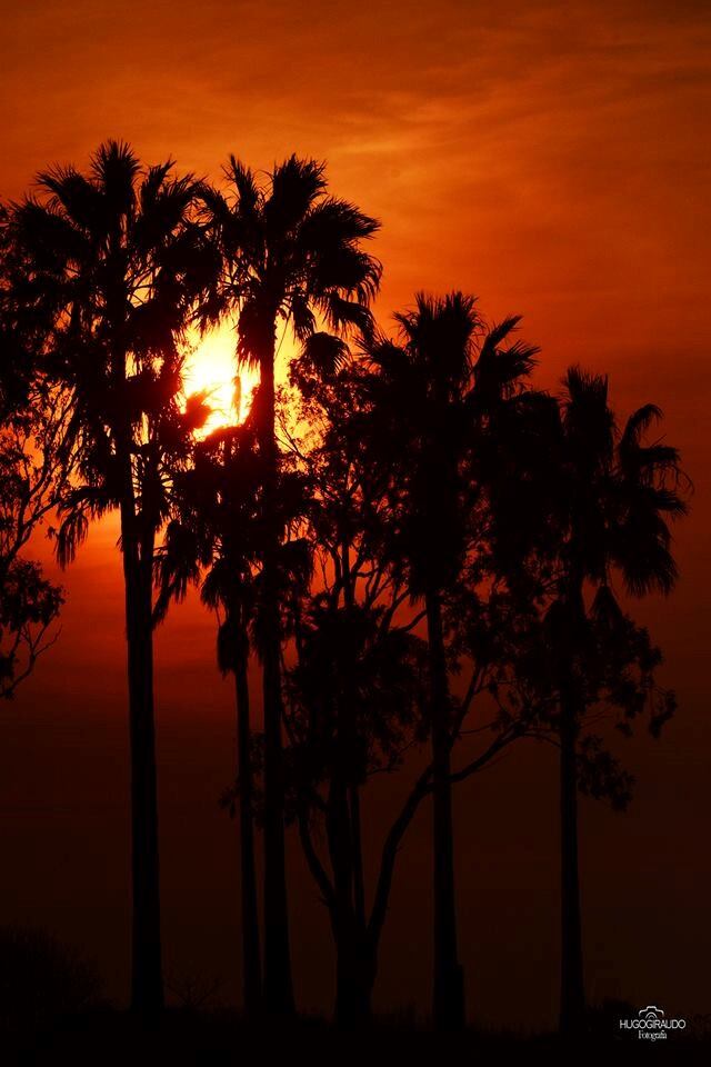 Atardecer en Miramar de Ansenuza - PH Hugo Giraudo