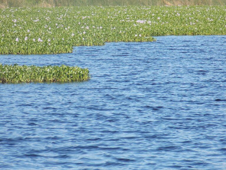 Espejos de agua en el Parque Nacional Pre Delta