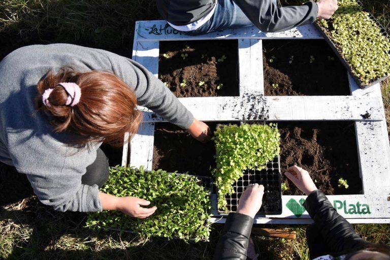 Se promueve la alimentación saludable y el uso responsable del suelo (Municipalidad de La Plata)