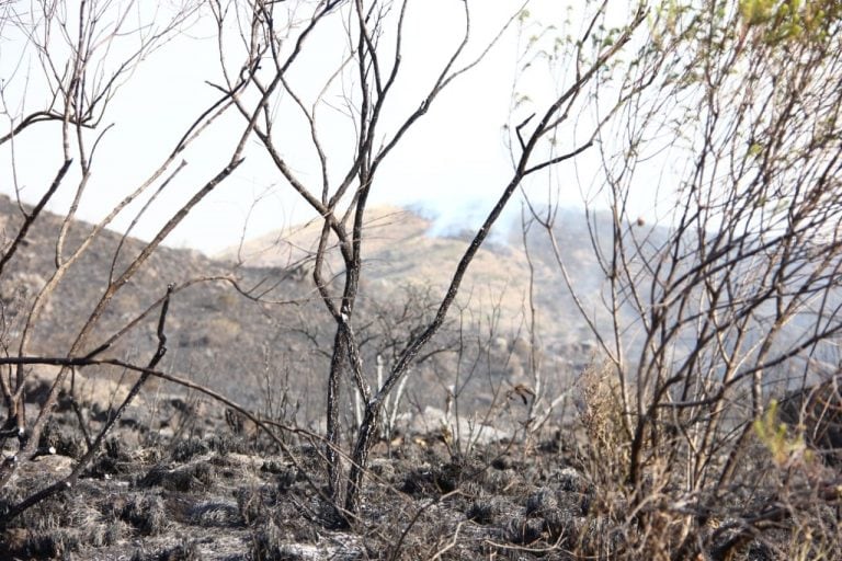 Incendio en el Camino de las Altas Cumbres entre Icho Cruz y Cuesta Blanca.