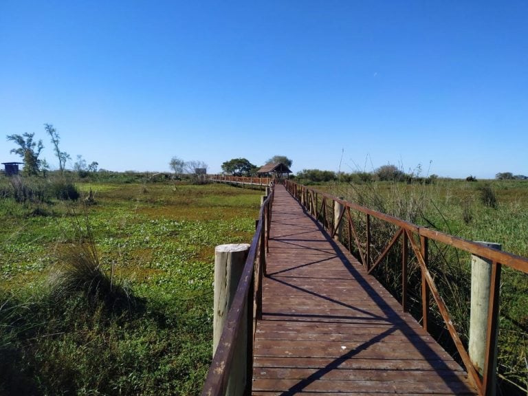 Vía Rosario cruzó la isla y transmitió en vivo desde la reserva Los Tres Cerros