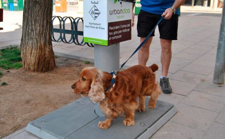 Urinarios para perros en Barcelona.