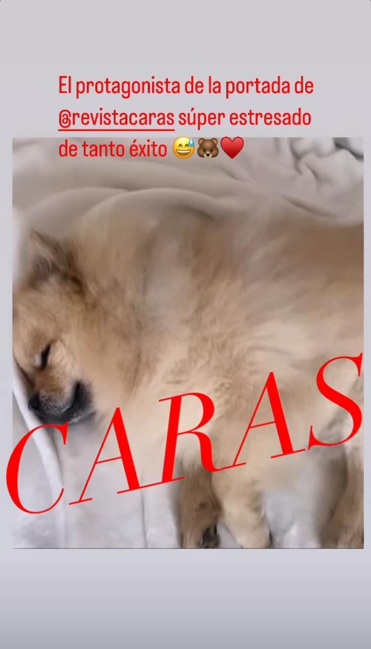 Elina Costantini mostró su casa de Nordelta y posó junto a su perro Gino.