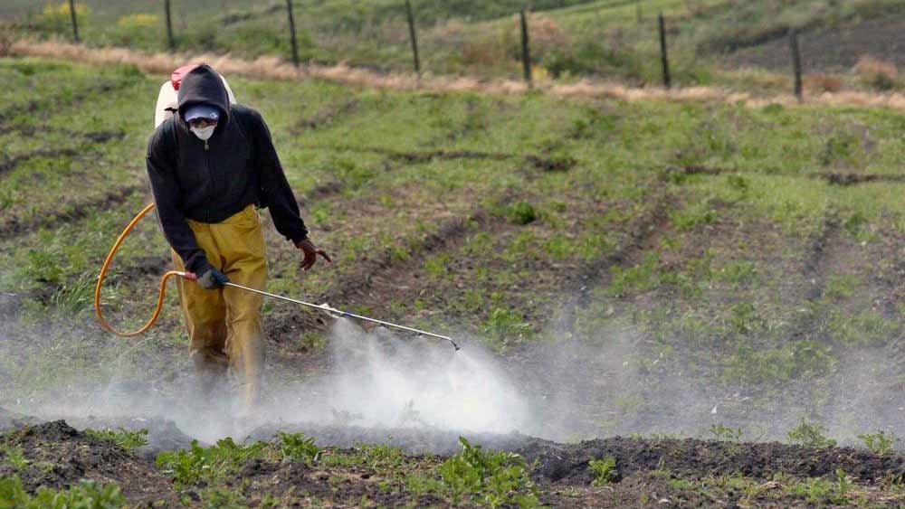 fumigacion con bromuro en alimentos para control de plagas