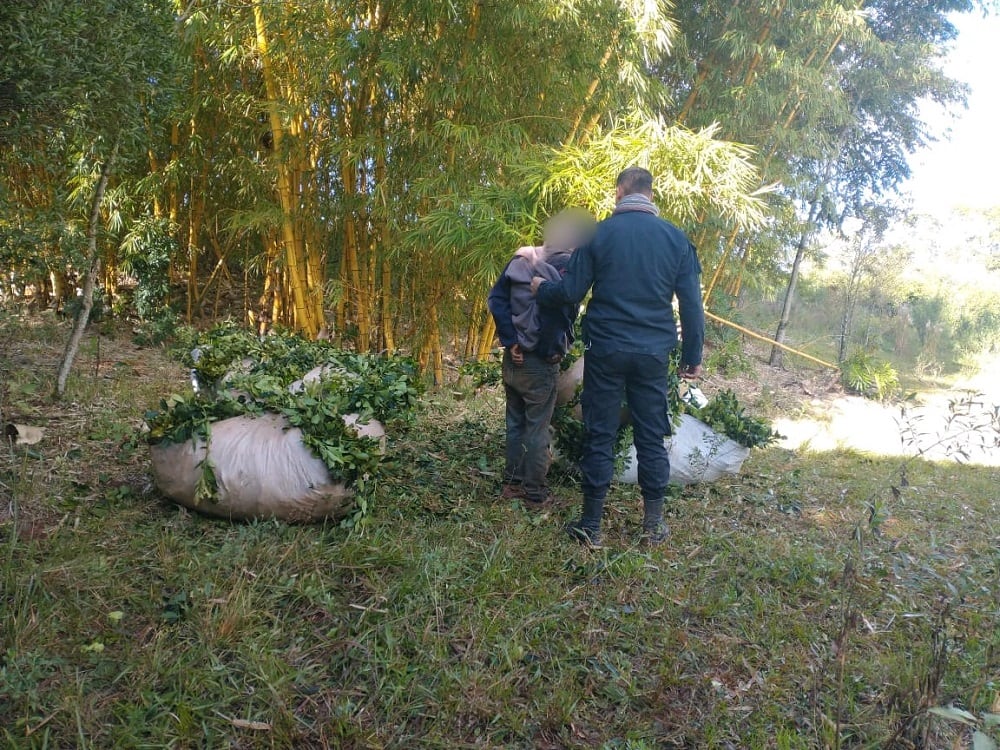 Dos de Mayo: interceptaron a un hombre que intentaba robar raídos de yerba. Policía de Misiones