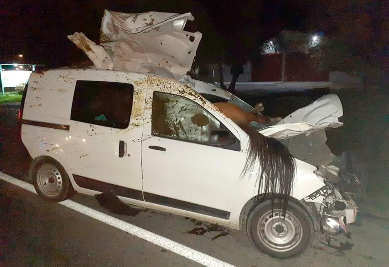 Al chocar, el caballo quedó incrustado en la camioneta y perdió la vida en el acto.