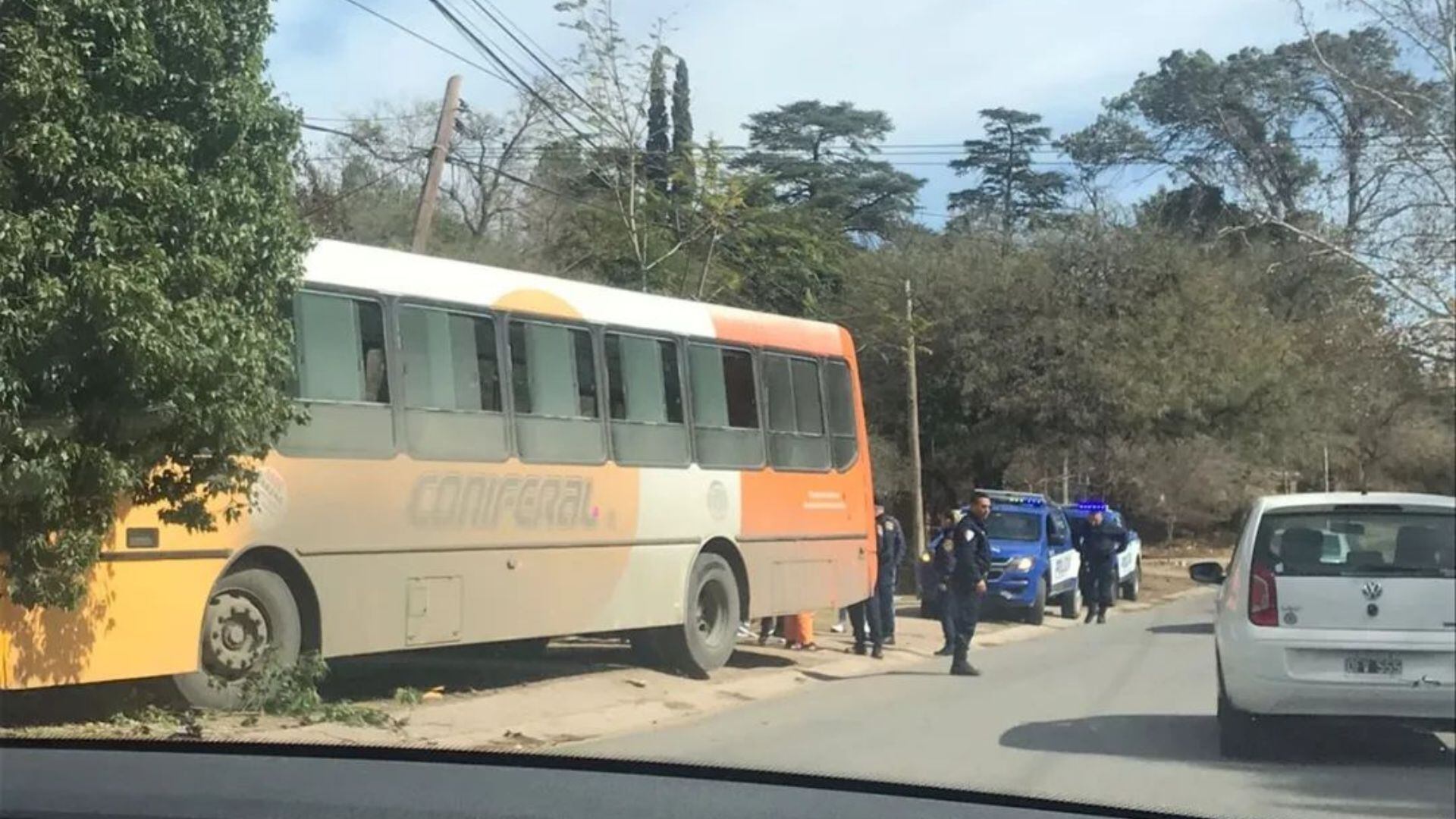 El chofer se desvaneció e impactó contra un árbol.