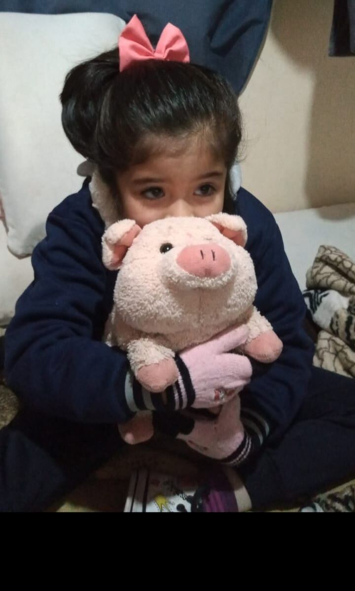 Una nena de La Plata perdió su peluche y su mamá intenta encontrarlo a toda costa.