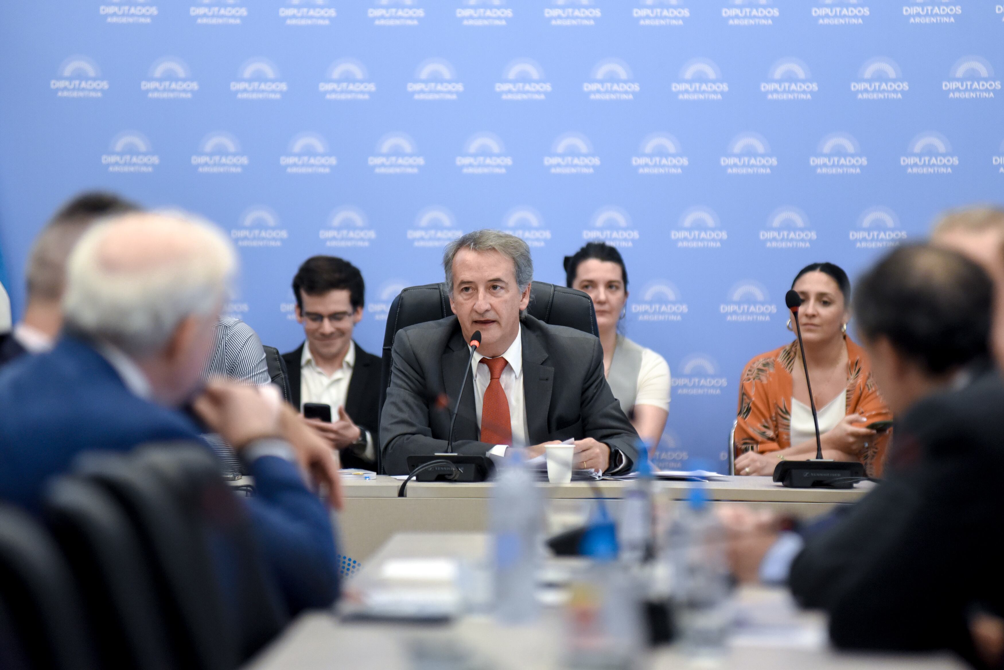 La reforma a la ley de DNU obtuvo dictamen de comisiones en Diputados (Foto: HCDN)