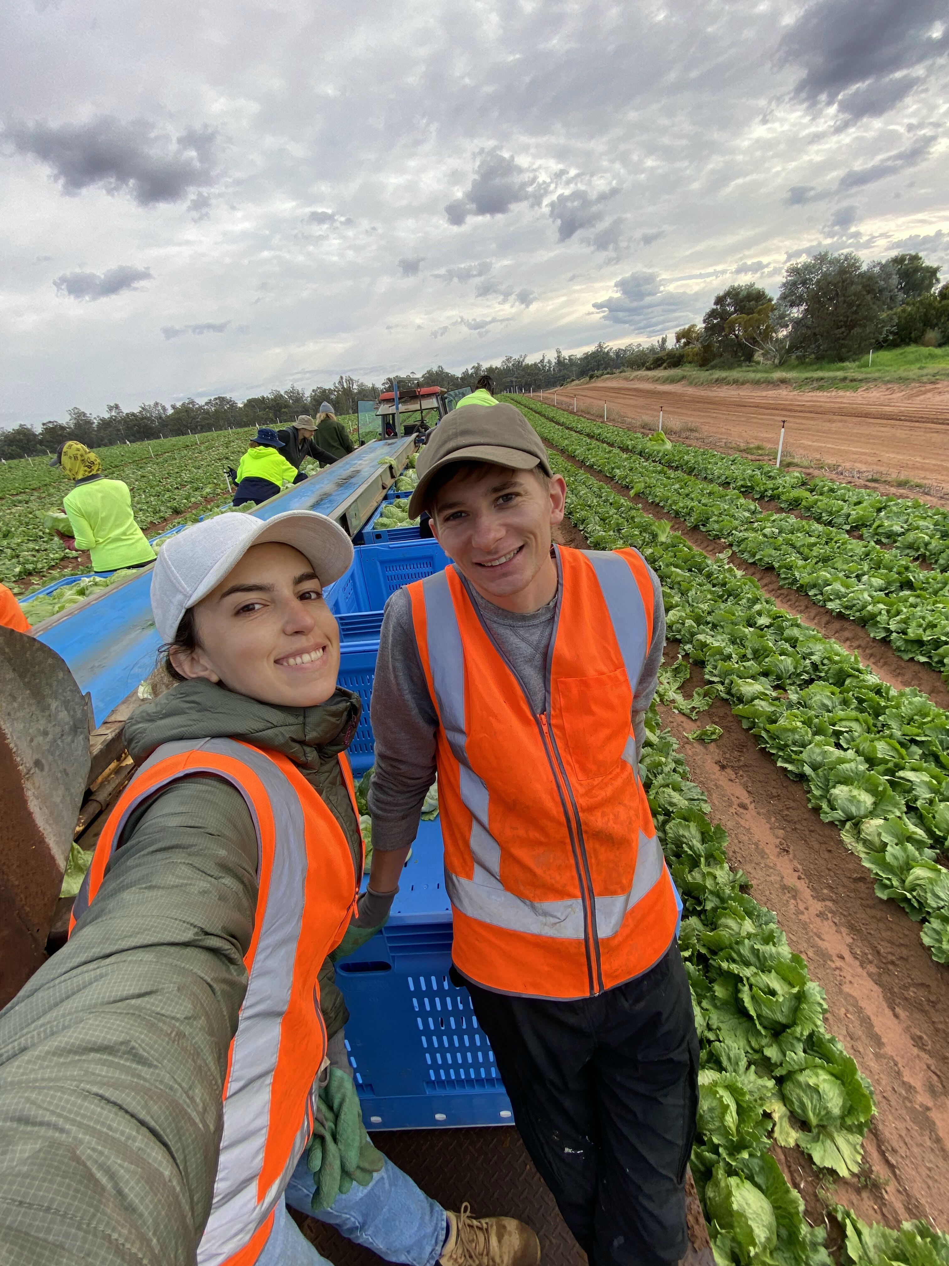 Los entrerrianos trabajando en el campo.