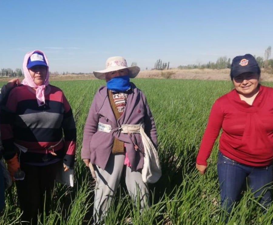 Las trabajadoras rurales están en situación de emergencia