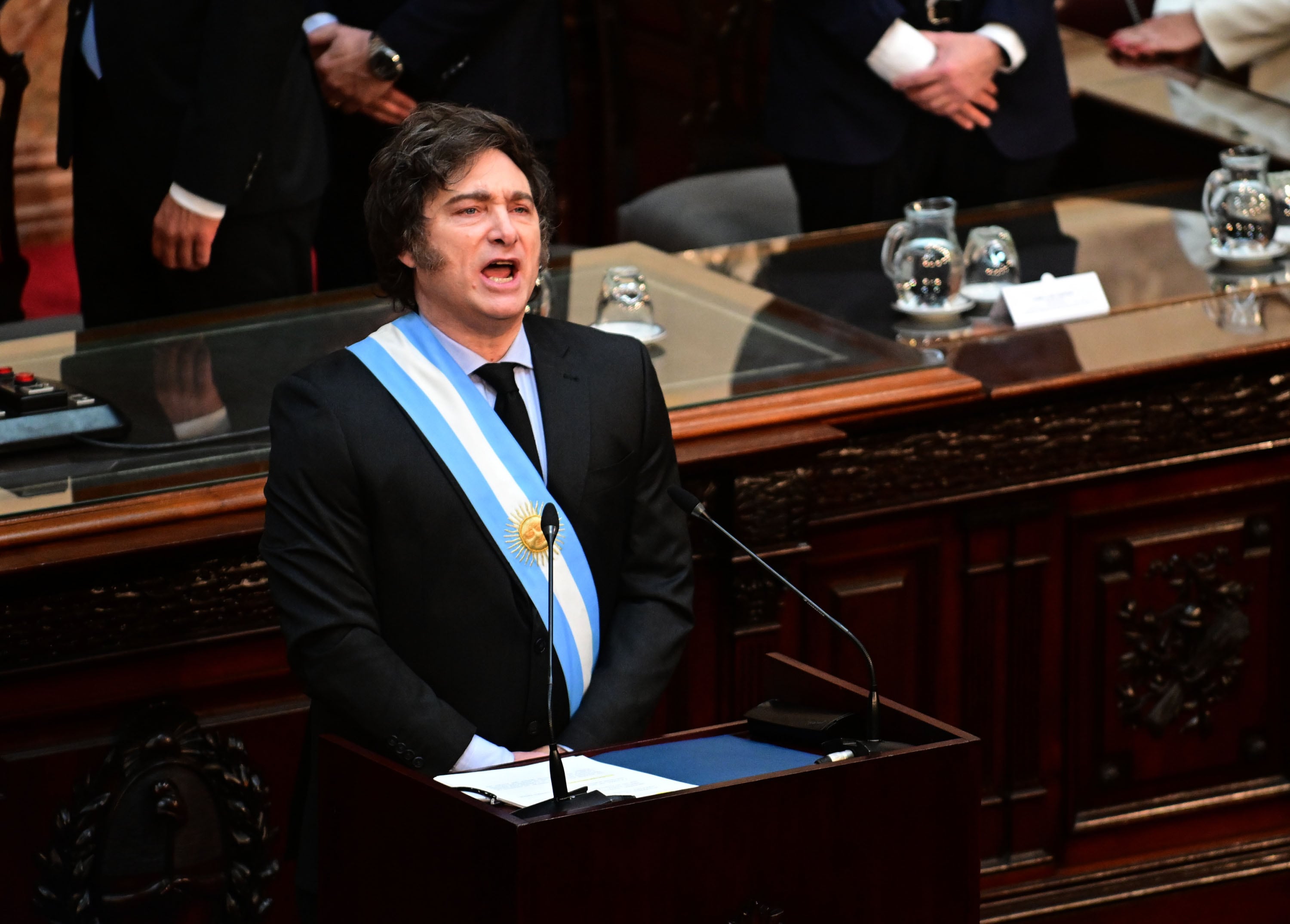 El presidente Javier Milei será el encargado de abrir el Congreso. Foto: Maxi Luna / NA