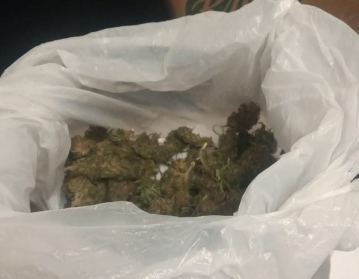 Secuestran Marihuana en un operativo policial en Tres Arroyos