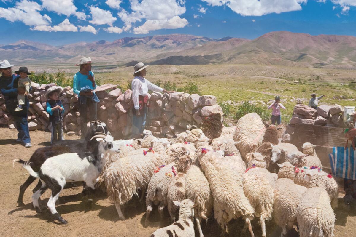 Dato revelador: en Jujuy, 40% de las explotaciones agrarias son conducidas por mujeres