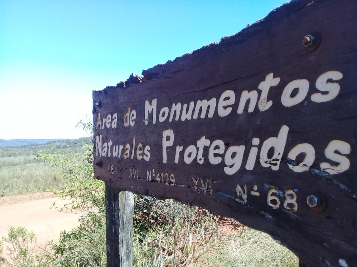 Este domingo se realizará otra edición de la Peña Ambiental en San Ignacio
