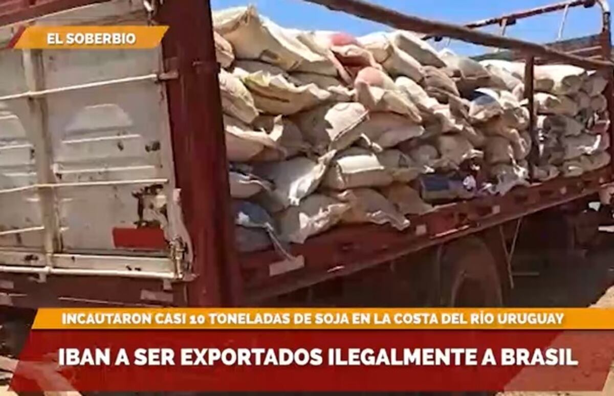 Secuestran contrabando de granos en El Soberbio