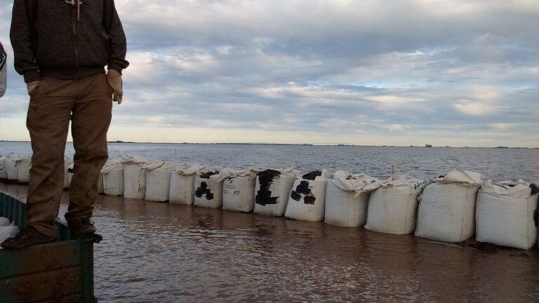 Defensas sobre la laguna Melincué frente a la Ruta Provincial 90.