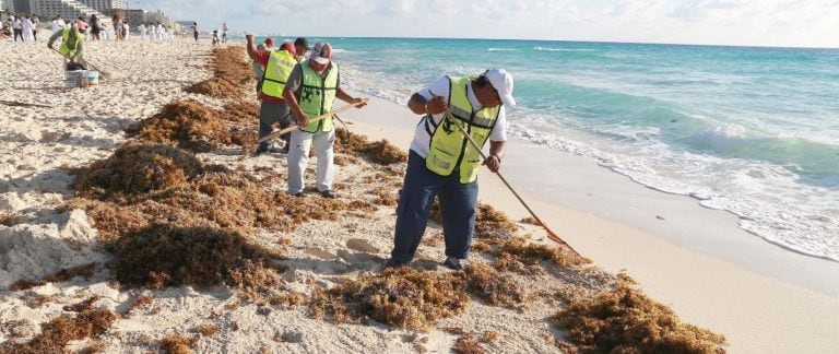 El sector hotelero barre la orilla y costea con fondos privados su limpieza.