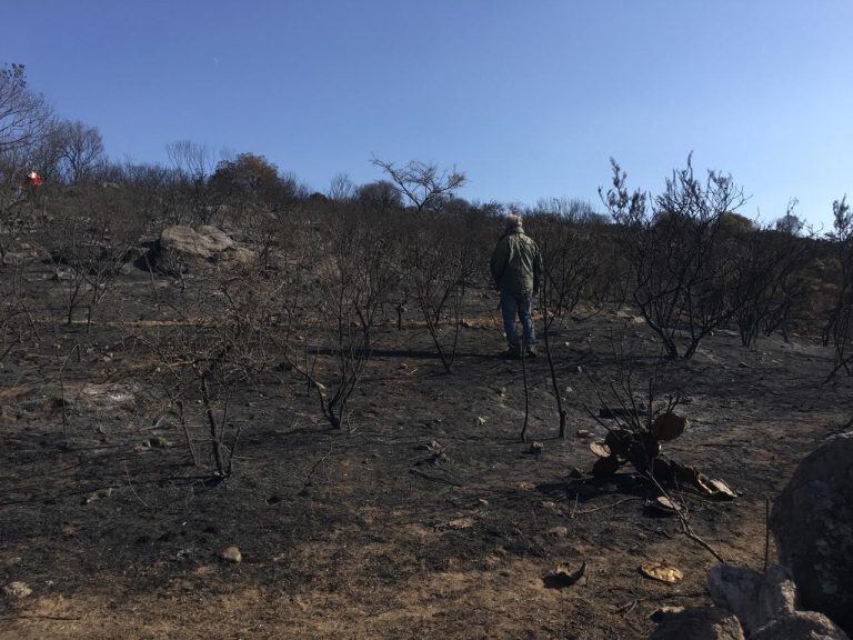 Así quedó una inmensa parte de cambo en Tanti. (Foto: gentileza Azul Godoy).