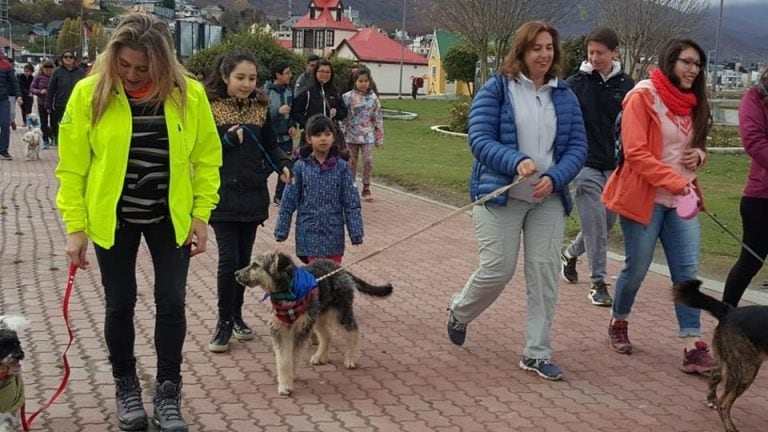 Caninata Solidaria - Ushuaia