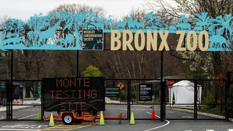 El zoo del Bronx, en Nueva York. (REUTERS/Eduardo Munoz)