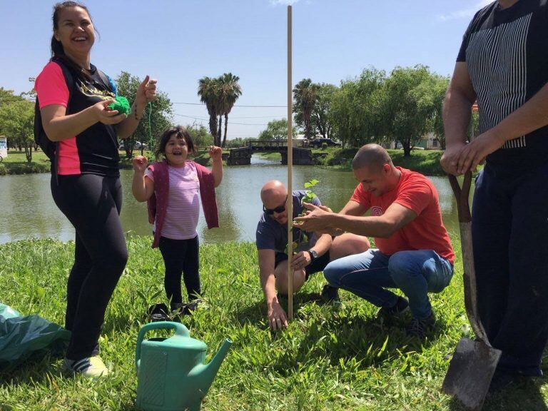 Plantarán árboles por cuarto año consecutivo.