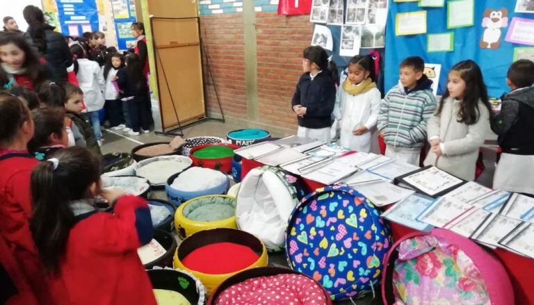 Las cuchas fabricadas por los alumnos.