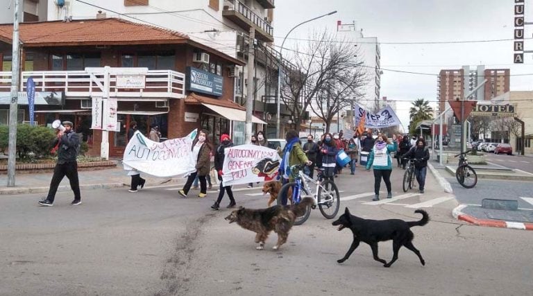 Dicen que falta discutir el tema a nivel gremial e institucional (Vía Santa Rosa)